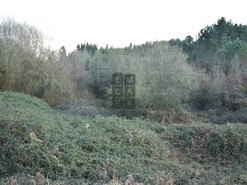 Terreno R�stico T0 - Mosteir�, Santa Maria da Feira, Aveiro - Miniatura: 1/1