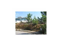 Terreno R�stico T0 - Nogueira do Cravo, Oliveira de Azem�is, Aveiro - Miniatura: 1/8