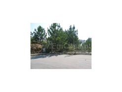 Terreno R�stico T0 - Nogueira do Cravo, Oliveira de Azem�is, Aveiro - Miniatura: 5/8