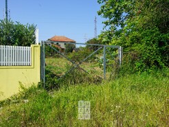 Terreno R�stico T0 - Esmoriz, Ovar, Aveiro - Miniatura: 2/16