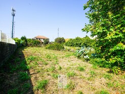 Terreno R�stico T0 - Esmoriz, Ovar, Aveiro - Miniatura: 7/16