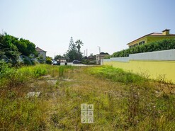 Terreno R�stico T0 - Esmoriz, Ovar, Aveiro - Miniatura: 8/16