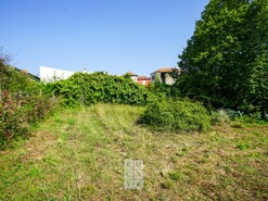 Terreno R�stico T0 - Esmoriz, Ovar, Aveiro - Miniatura: 9/16