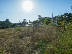 Terreno R�stico T0 - Escap�es, Santa Maria da Feira, Aveiro - Miniatura: 1/4