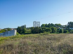 Terreno R�stico T0 - Escap�es, Santa Maria da Feira, Aveiro - Miniatura: 2/4