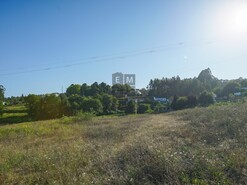 Terreno R�stico T0 - Escap�es, Santa Maria da Feira, Aveiro - Miniatura: 3/4