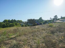 Terreno R�stico T0 - Escap�es, Santa Maria da Feira, Aveiro - Miniatura: 4/4