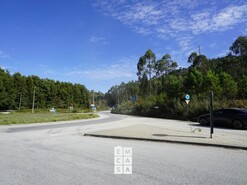 Terreno R�stico T0 - Nogueira do Cravo, Oliveira de Azem�is, Aveiro - Miniatura: 2/8