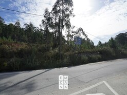 Terreno R�stico T0 - Nogueira do Cravo, Oliveira de Azem�is, Aveiro - Miniatura: 4/8