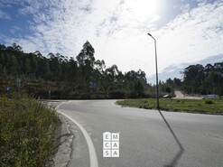 Terreno R�stico T0 - Nogueira do Cravo, Oliveira de Azem�is, Aveiro - Miniatura: 5/8