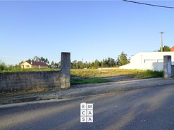 Terreno R�stico T0 - Branca, Albergaria-a-Velha, Aveiro - Miniatura: 3/14