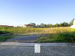 Terreno R�stico T0 - Branca, Albergaria-a-Velha, Aveiro - Miniatura: 4/14