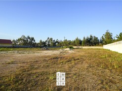 Terreno R�stico T0 - Branca, Albergaria-a-Velha, Aveiro - Miniatura: 8/14