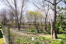 Terreno Urbano T0 - Esmoriz, Ovar, Aveiro - Miniatura: 1/16