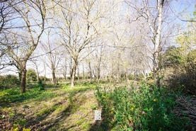 Terreno Urbano T0 - Esmoriz, Ovar, Aveiro - Miniatura: 4/16