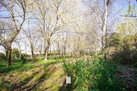 Terreno Urbano T0 - Esmoriz, Ovar, Aveiro - Miniatura: 5/16