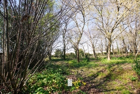 Terreno Urbano T0 - Esmoriz, Ovar, Aveiro - Miniatura: 6/16