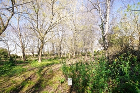 Terreno Urbano T0 - Esmoriz, Ovar, Aveiro - Miniatura: 7/16