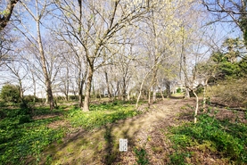 Terreno Urbano T0 - Esmoriz, Ovar, Aveiro - Miniatura: 8/16