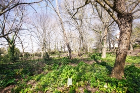 Terreno Urbano T0 - Esmoriz, Ovar, Aveiro - Miniatura: 9/16