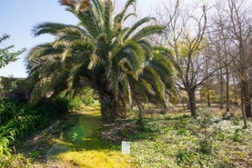 Terreno Urbano T0 - Esmoriz, Ovar, Aveiro - Miniatura: 14/16