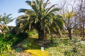 Terreno Urbano T0 - Esmoriz, Ovar, Aveiro - Miniatura: 15/16