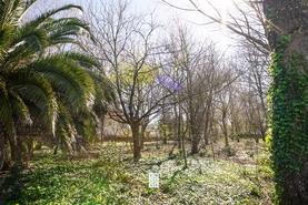 Terreno Urbano T0 - Esmoriz, Ovar, Aveiro - Miniatura: 16/16