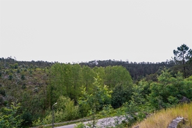 Terreno Urbano T0 - Nogueira do Cravo, Oliveira de Azem�is, Aveiro - Miniatura: 2/13