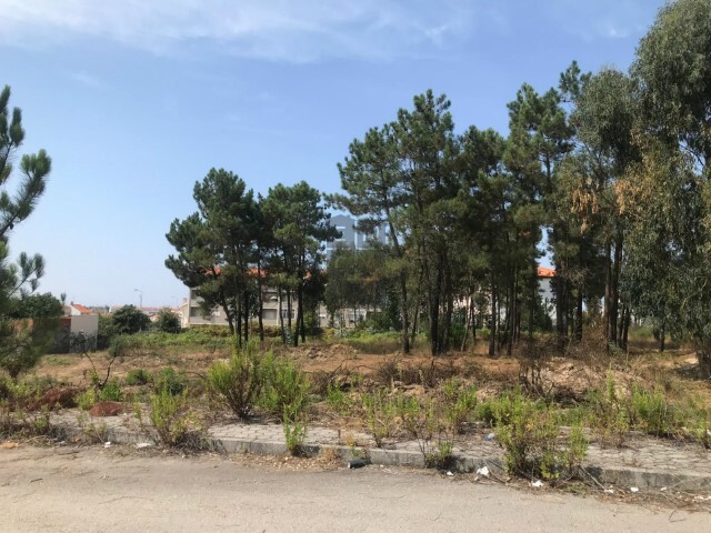 Terreno Rústico - Santa Joana, Aveiro, Aveiro - Imagem grande