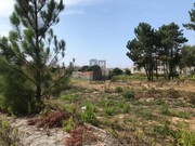 Terreno Rstico - Santa Joana, Aveiro, Aveiro - Miniatura: 3/5