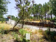 Terreno Rstico - Nogueira do Cravo, Oliveira de Azemis, Aveiro - Miniatura: 5/7