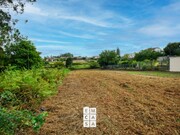 Terreno Rstico - So Joo de Ver, Santa Maria da Feira, Aveiro - Miniatura: 5/9