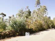 Terreno Rstico - Oliveira de Azemeis, Oliveira de Azemis, Aveiro - Miniatura: 2/8
