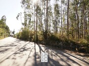 Terreno Rstico - Oliveira de Azemeis, Oliveira de Azemis, Aveiro - Miniatura: 3/8