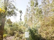 Terreno Rstico - Oliveira de Azemeis, Oliveira de Azemis, Aveiro - Miniatura: 4/8