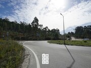 Terreno Rstico - Nogueira do Cravo, Oliveira de Azemis, Aveiro - Miniatura: 5/8