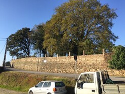 Terreno R�stico T0 - S�o Roque, Oliveira de Azem�is, Aveiro - Miniatura: 7/7