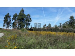 Terreno R�stico T0 - Eixo, Aveiro, Aveiro - Miniatura: 1/13