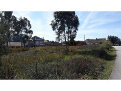 Terreno R�stico T0 - Eixo, Aveiro, Aveiro - Miniatura: 5/13