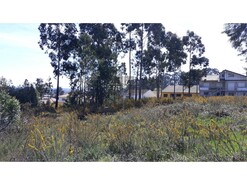 Terreno R�stico T0 - Eixo, Aveiro, Aveiro - Miniatura: 6/13