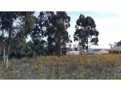 Terreno R�stico T0 - Eixo, Aveiro, Aveiro - Miniatura: 8/13
