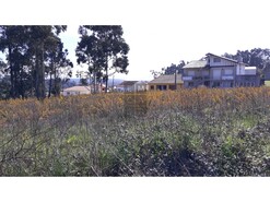 Terreno R�stico T0 - Eixo, Aveiro, Aveiro - Miniatura: 10/13