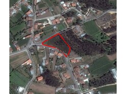 Terreno R�stico T0 - Eixo, Aveiro, Aveiro - Miniatura: 12/13