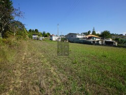 Terreno R�stico T0 - Santa Maria da Feira, Santa Maria da Feira, Aveiro - Miniatura: 11/18