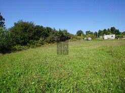 Terreno R�stico T0 - Santa Maria da Feira, Santa Maria da Feira, Aveiro - Miniatura: 12/18