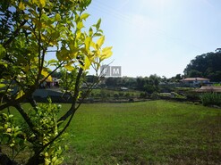 Terreno R�stico T0 - Santa Maria da Feira, Santa Maria da Feira, Aveiro - Miniatura: 14/18