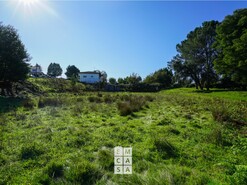 Terreno R�stico T0 - Arrifana, Santa Maria da Feira, Aveiro - Miniatura: 2/6