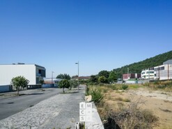 Terreno Rústico - Macieira de Cambra, Vale de Cambra, Aveiro