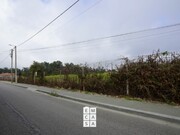 Terreno Rústico - Mosteiró, Santa Maria da Feira, Aveiro - Miniatura: 8/9