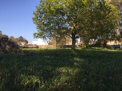 Terreno R�stico T0 - S�o Roque, Oliveira de Azem�is, Aveiro - Miniatura: 2/6